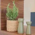 Muraltos Nest