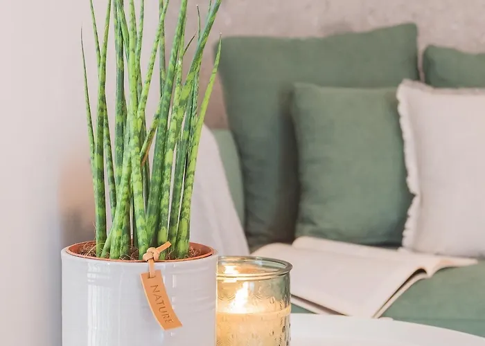 Muralto's Nest By Rent