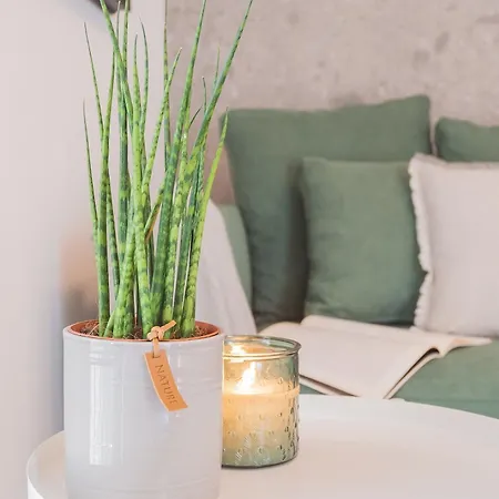 Muralto's Nest By Rent