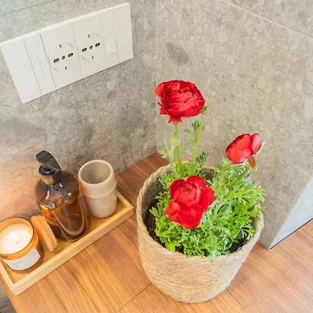 Muralto's Nest By Rent